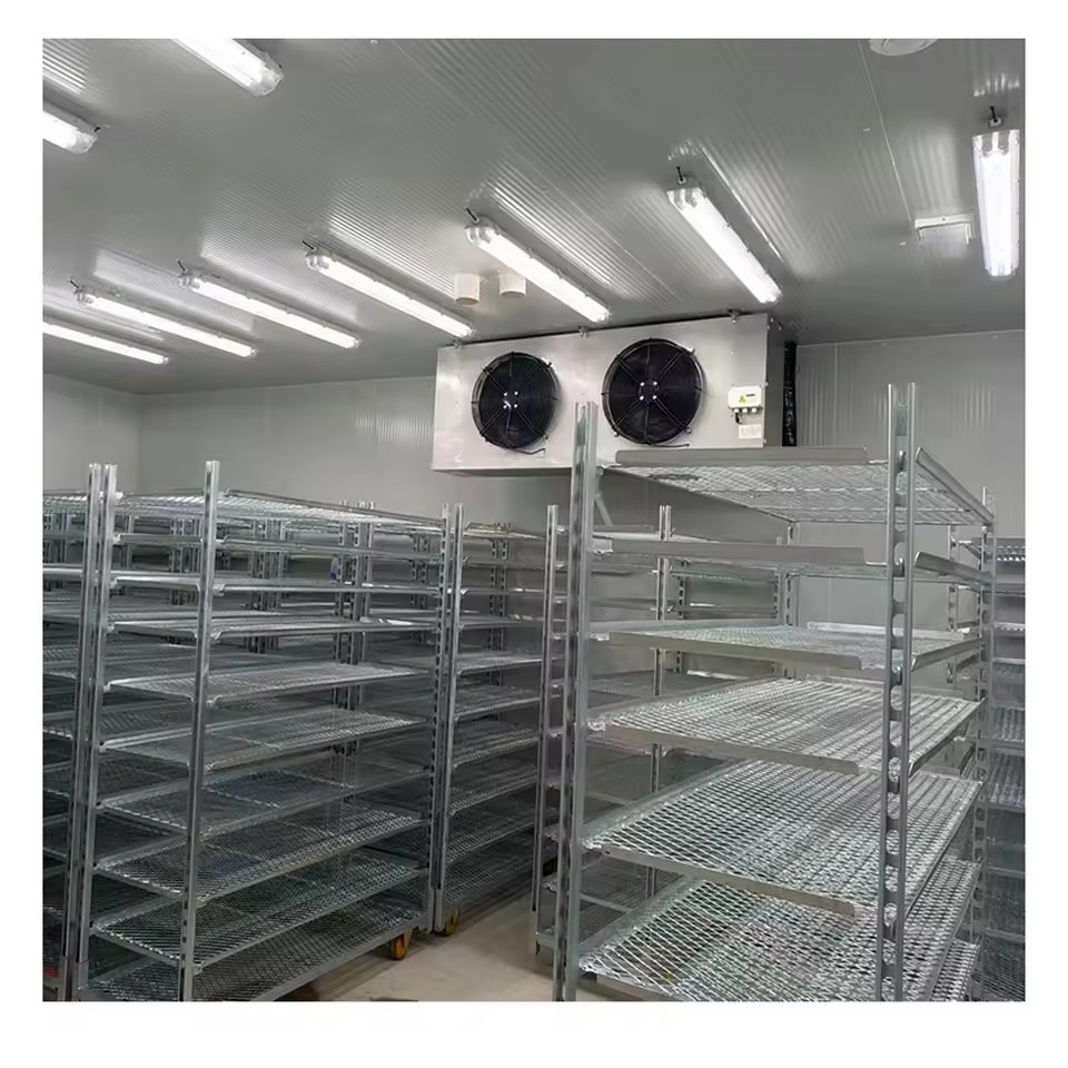 Evaporative Cooler Fish Cold Storage Room 10000Tons Build Cold Room Freezers Energy-saving Industrial Cooling Systems