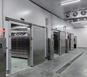 Constant Low Temperature Automatic Motor Solar-Powered Large Meat Cold Storage One Stop Construction for Frozen Seafood and Meat
