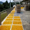 Large Scale Heat Pump Drying Oven Room Daylily Dryer Machine Daylily Dehydrator Equipment