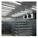 Large Cold Storage Room Walking in Freezing Equipment Cold Room Storage Industrial Cooling Systems Freezing Equipment