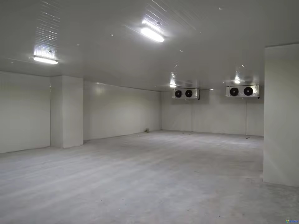 Environment Friendly Automatic Copeland Large Cold Room Gearbox One Stop Construction for Fresh Farm Fruits Vegetables