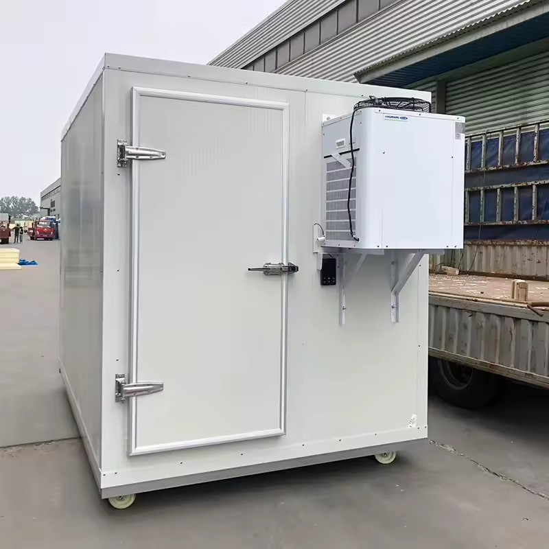 Prefab Modular Cold Room Walk In Cooler With PU Insulated Panel External Cooling Unit 220V Plug In for Vegetable Storage