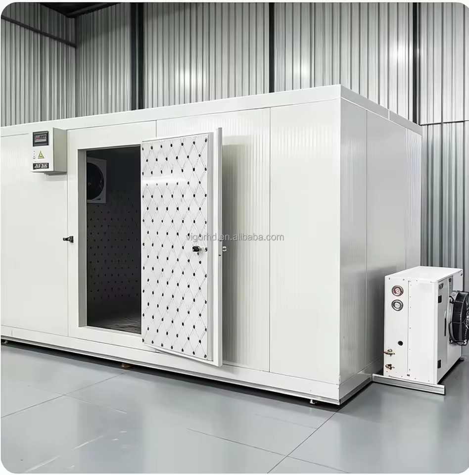Dual Temp Modular Cold Storage Unit Full Customization for Commercial Food Processing Scenarios