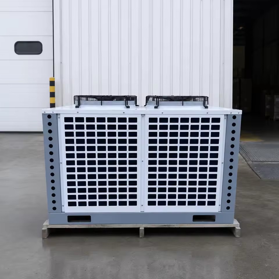 Compact Air Cooled Condensing Unit for Small Cold Room Fresh Food Storage and Commercial Refrigeration