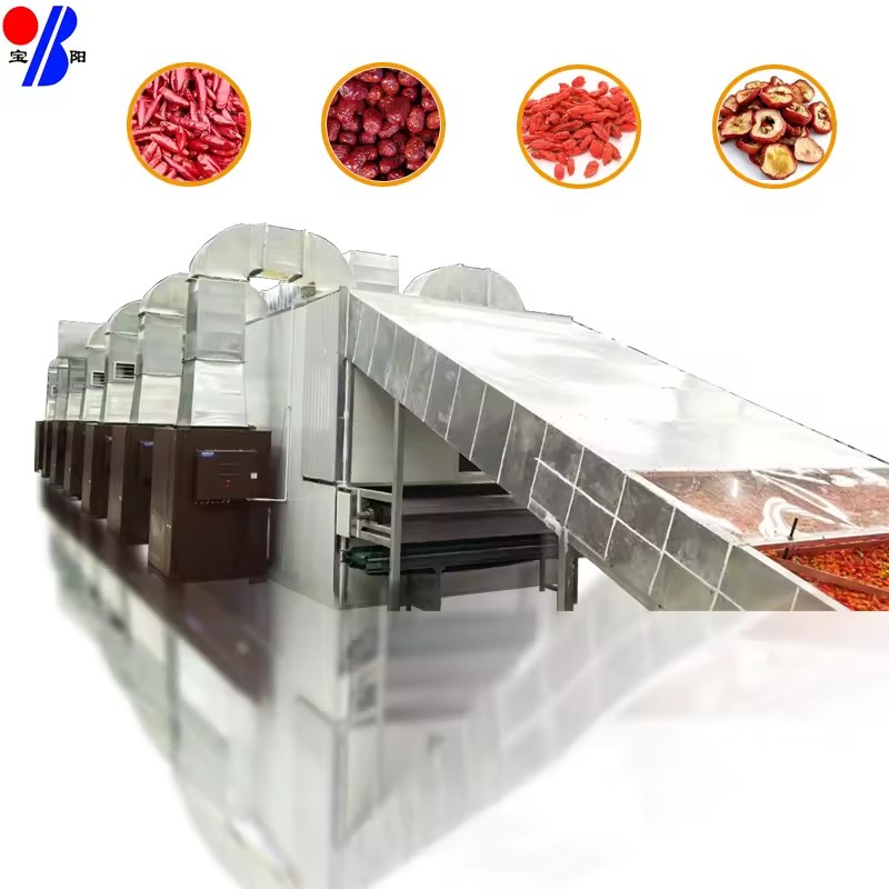 Industrial Rotary Gas Heated Gear PLC Controlled Fruit Vegetable Food Drying Machine for Carrot Mango Chips Dehydration