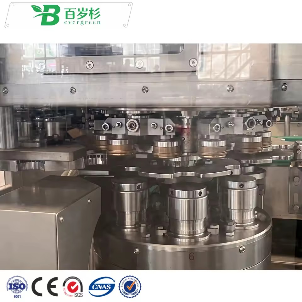 BS-Automatic 500ml Plastic PET Bottle Mineral Drinking Water Purification and Bottling Filling Capping Plant Machine