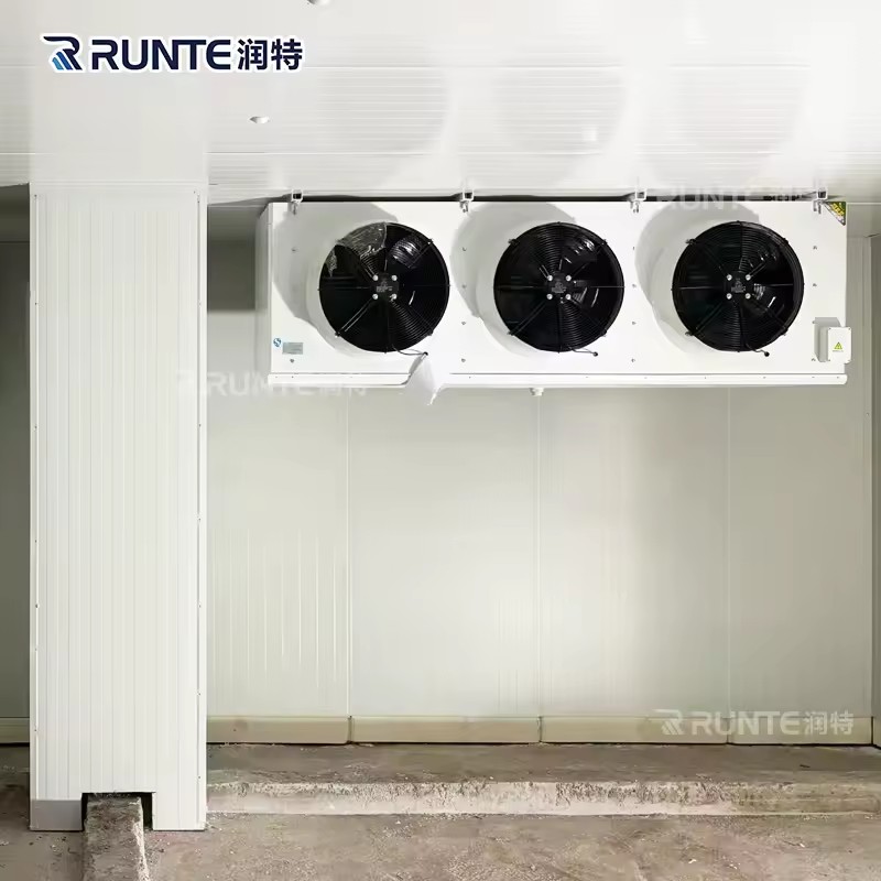 Smart Remote Monitoring Commercial Walk in Freezer Cold Room Storage for Meat and Fish Refrigeration Unit