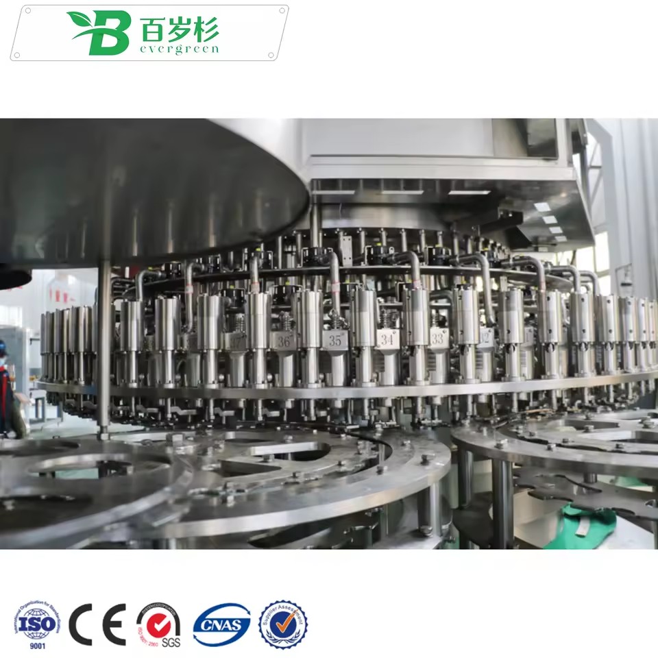 BS-Whole Production Line Mineral Pure Drinking Water Bottling and Packing Machine Plant for PET Bottle
