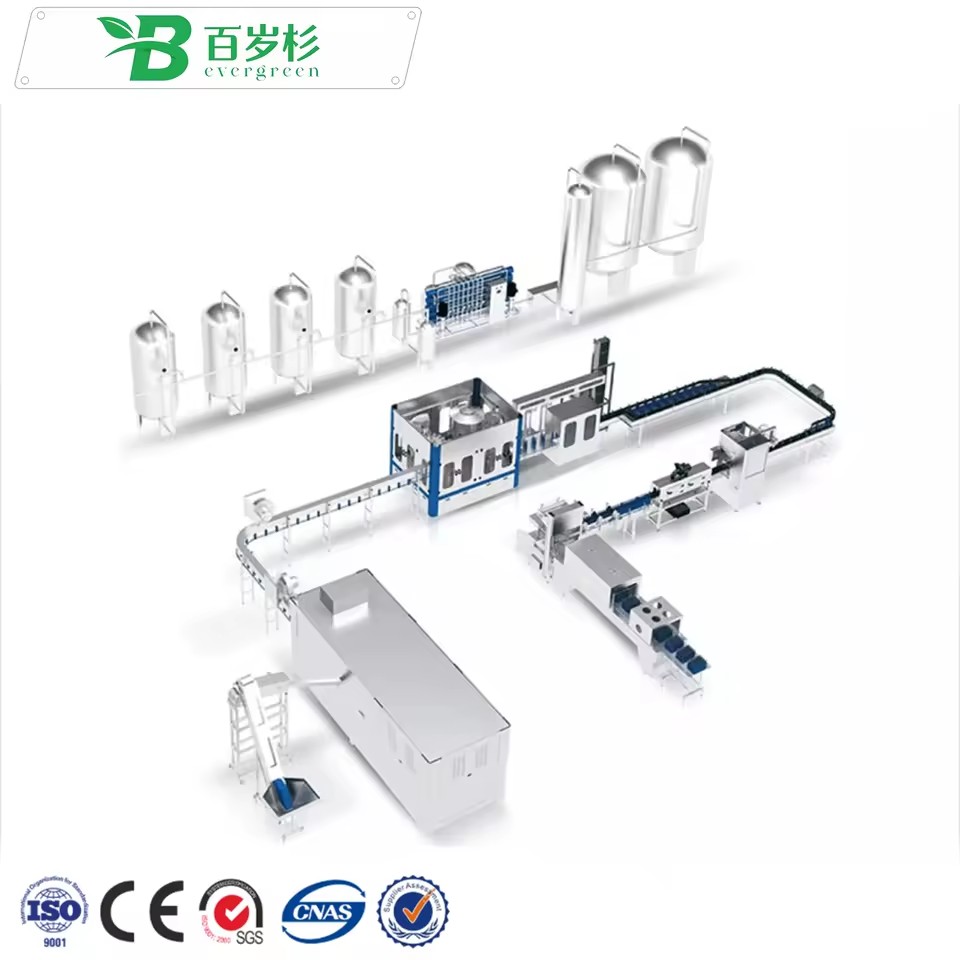 BS-Full Automatic 3 in 1 Mini Small Business Water Making Filling Production Line Plastic Pure Mineral Water Bottling Machine