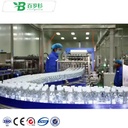 BS-Complete Full Automatic 3 in 1 Plastic Bottle Pure Mineral Water Production Line / Water Filling Machine