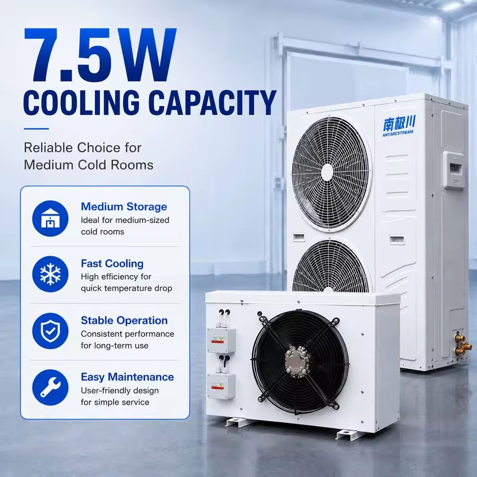 Low Temp Cold Room Condensing Unit | Automatic Motor Refrigeration Compressor