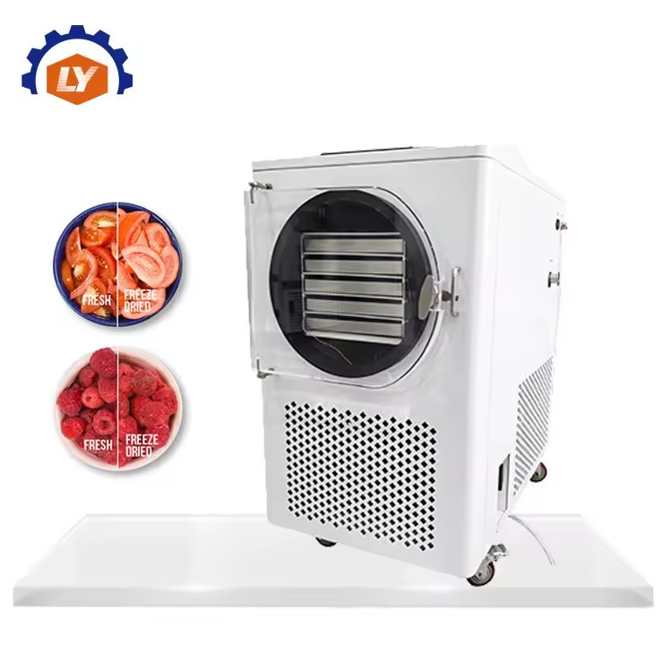 New 5 Trays Vacuum Freeze Dryer Commercial Vegetable Pet Food Fruit Dehydration Machinery with Pump
