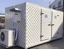 Customized High Efficiency Walk-In Freezer Cold Room Storage 150mm Panel Thickness Easy Operate Solar Sanyo Copeland for