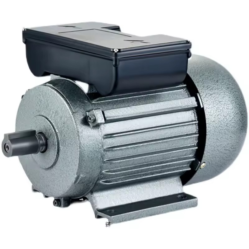 Wholesale YL Single Phase Motor Custom Non-Standard Machinery Equipment Motor Iron Shell Horizontal Double Value Power Tools