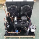 Copeland 5HP 8HP 10HP 12HP Flat Integrated Cold Room Refrigeration Unit Motor PLC 380V Energy Saving Remote Monitoring