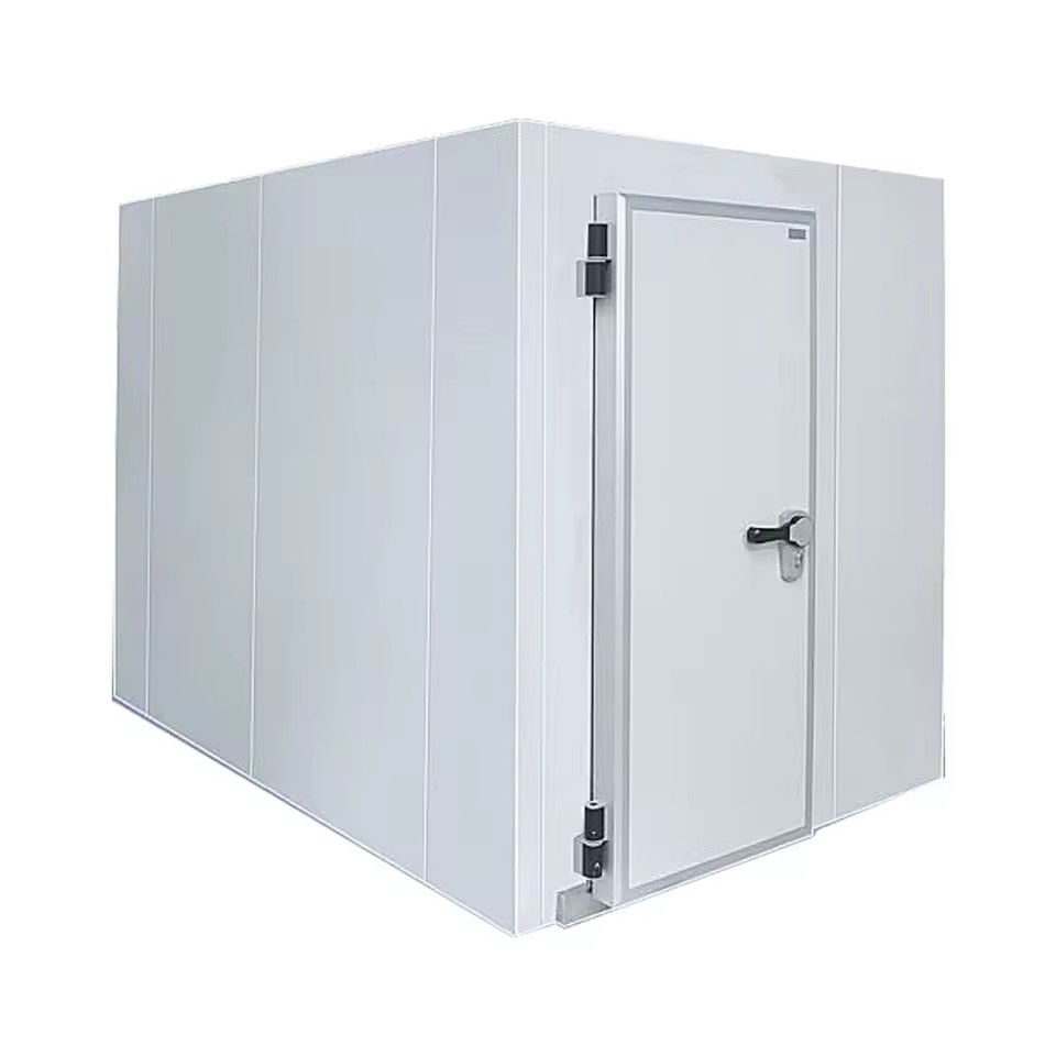 High Efficiency Customized Walk-in Freezer Cold Room Storage 150mm Panel Thickness Featuring Sanyo Copeland Bitzer Retail