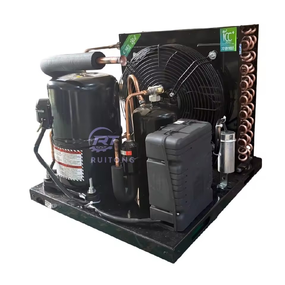 Commercial Low Temperature Energy Saving Machines Air Cooled Refrigeration Condensing Units With Core Motor Component