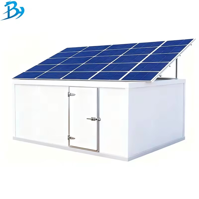 Solar Cold Room Blast Freezing Solar Powered Walk in Cold Room Solar Freezer for Meat Cold Room for Farm