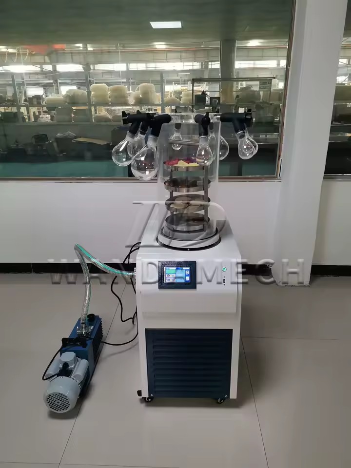 High Performance Energy Saving Desktop Vegetable Fruit Snack Processing Equipment Laboratory Vacuum Freeze Dryer