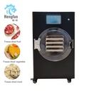 Premium Vacuum Food Freeze Dryer Machine Energy Saving Lyophilizer for Vegetable Fruit Meat Preservation