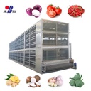 Fruit and Vegetable Drying Machine PLC Controlled Wire Belt Dryer for Pepper Carrot Pumpkin Energy Saving Industrial Use