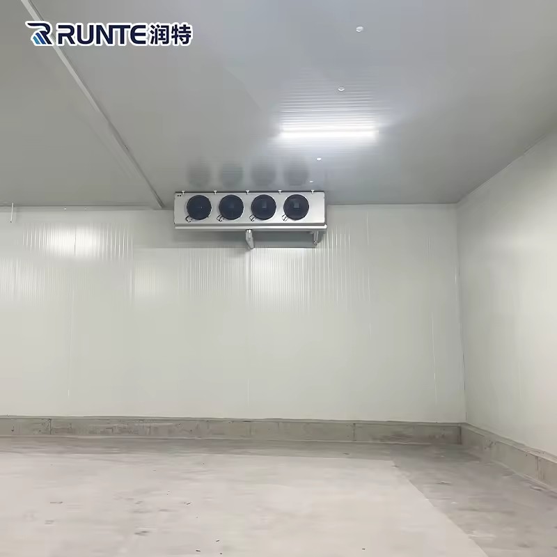 Cold Room Storage Commercial Restaurant Freezer Room Refrigeration Equipment