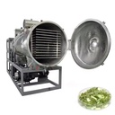 PLC-Controlled Labor-Saving 304 Stainless Steel Spring Onion Kiwi Fruit Vacuum Freeze Drying Machine Energy Saving High