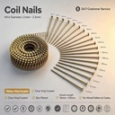Nails & Screws Heavy Duty Wire Coil Nails Matching Pneumatic Air Coil Nail Guns for Wooden Pallet Frame Furniture Making
