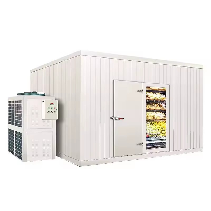 Walk-In Cold Room with Copeland Compressor & Engine Automatic Control Commercial Use Low Maintenance Best Price