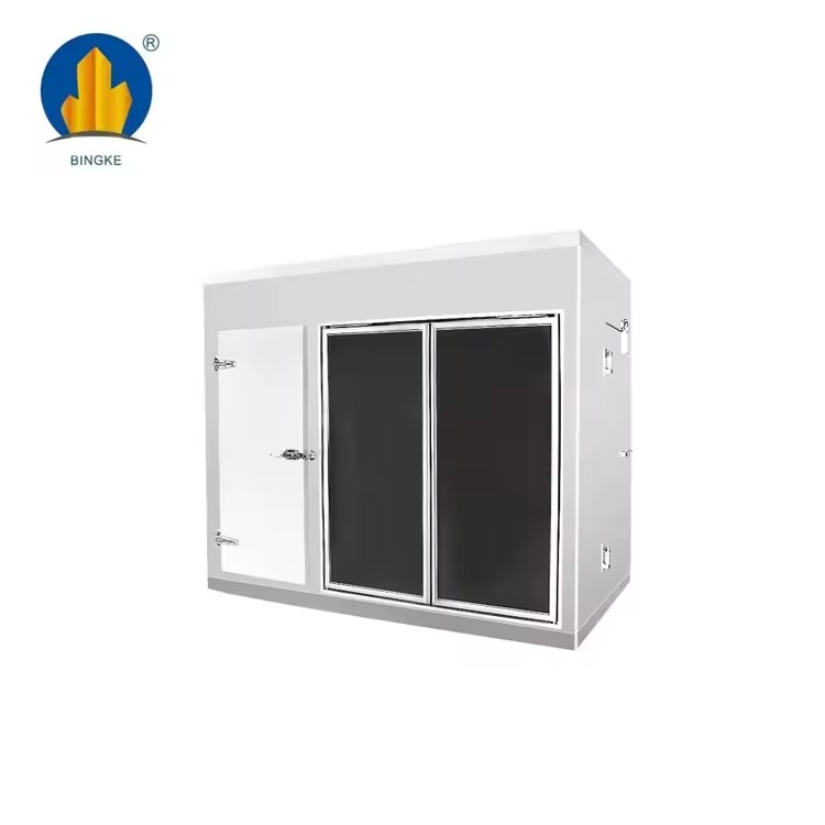 Solar Panel Compressor Motor Walk-in Chiller and Freezer New Cold Room Door for Restaurant Cold Storage Featuring Container