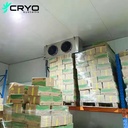 High Efficiency Energy Saving Modular Walk-in Cold Room Motor Pump for Fresh Fruit Vegetable Tomato Storage (Solar Powered)