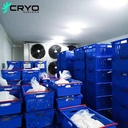 Modular 100mm Cold Room Panel Energy Saving for Frozen Meat Seafood Storage Industrial Walk-in Cold Room
