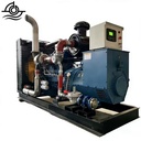 30kw 100kw 250kw 500kw 1mw Small Natural Gas LPG Auto Start Biogas to Electricity Dual Cooling 95% Efficiency Generator Turbine