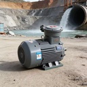 High Efficiency Motor 50Hz 1500rpm 220V 380V Asynchronous Induction Motor 50/55Hz IP55 Protection IE3 Efficiency Copper