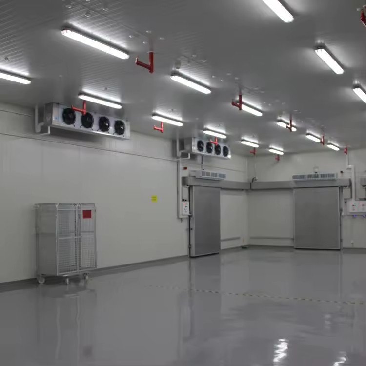 Turnkey Industrial Cold Storage Construction Project High Efficiency Automatic Copeland Solar-Powered Engine/Motor/Pump