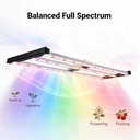 320W LED Grow Light Full Spectrum IP65 Dimmable Plant Lamp for 2x4ft Indoor Grow Tent Home Garden Commercial Plant Growing