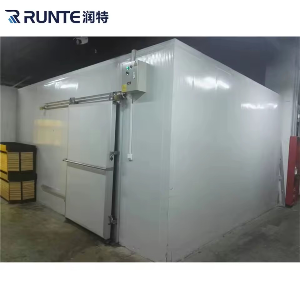 Small Medium Large Size Cool Freezing Refrigeration Cold Room Storage for Butchery