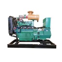 Clean Electricity Natural Gas Biogas Syngas Biomass Gas Remote Start & Auto Start IP55 50/60Hz Generator Set