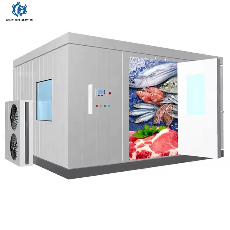 2025 Best Price Industrial Commercial Cold Storage Freezer Rooms Solar Option Copeland/Bizter Compressor Energy Saving for Ice