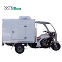 Petrol Gasoline Tricycle with Refrigerated Box Commercial Cold Room