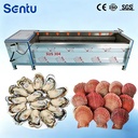 Automatic Root Vegetable Brush Cleaning Machine High Efficiency Roller Washer for Onion Garlic and Rhizome Foods