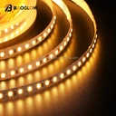 Factory Price 10W DC12V 24Volt 8mm Flexible 120LED Led Strip for Bedroom Furniture 5M 10M/Roll White Red Blue Lights