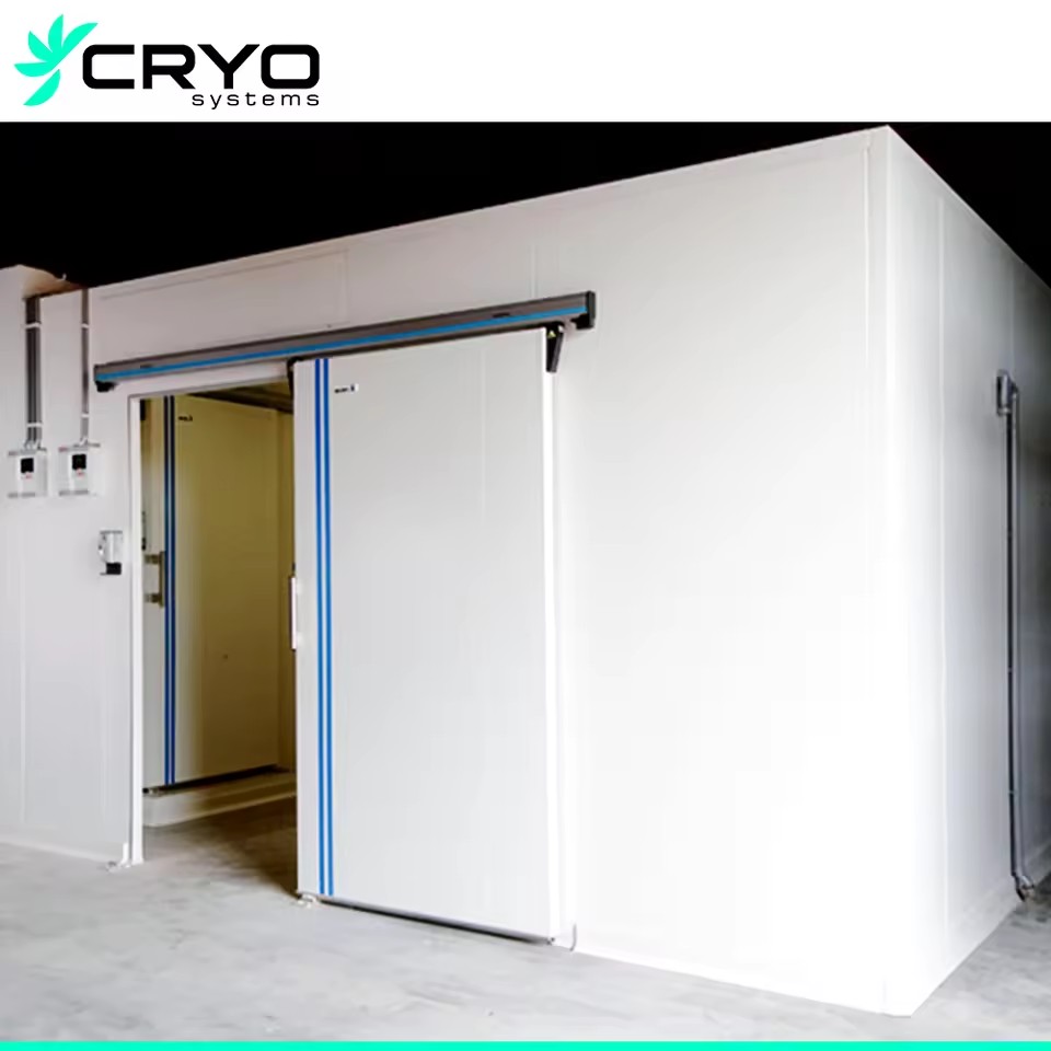 New Best Value Commercial Cold Storage Walk in Freezer with Solar Panel Motor Energy Saving for Small Businesses
