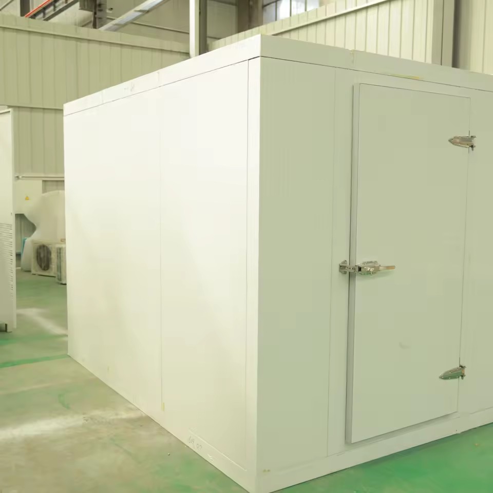 High Efficiency Customized Walk-in Freezer Cold Room Storage 150mm Panel Thickness Featuring Sanyo Copeland Bitzer Retail