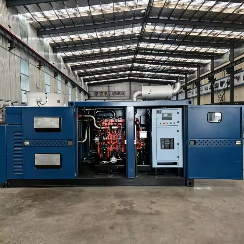 50KW 100KW 200KW 500kW 1MW Small Natural Gas & Biogas to Electricity Remote Start DC Powered Generator Turbine Water Cooling