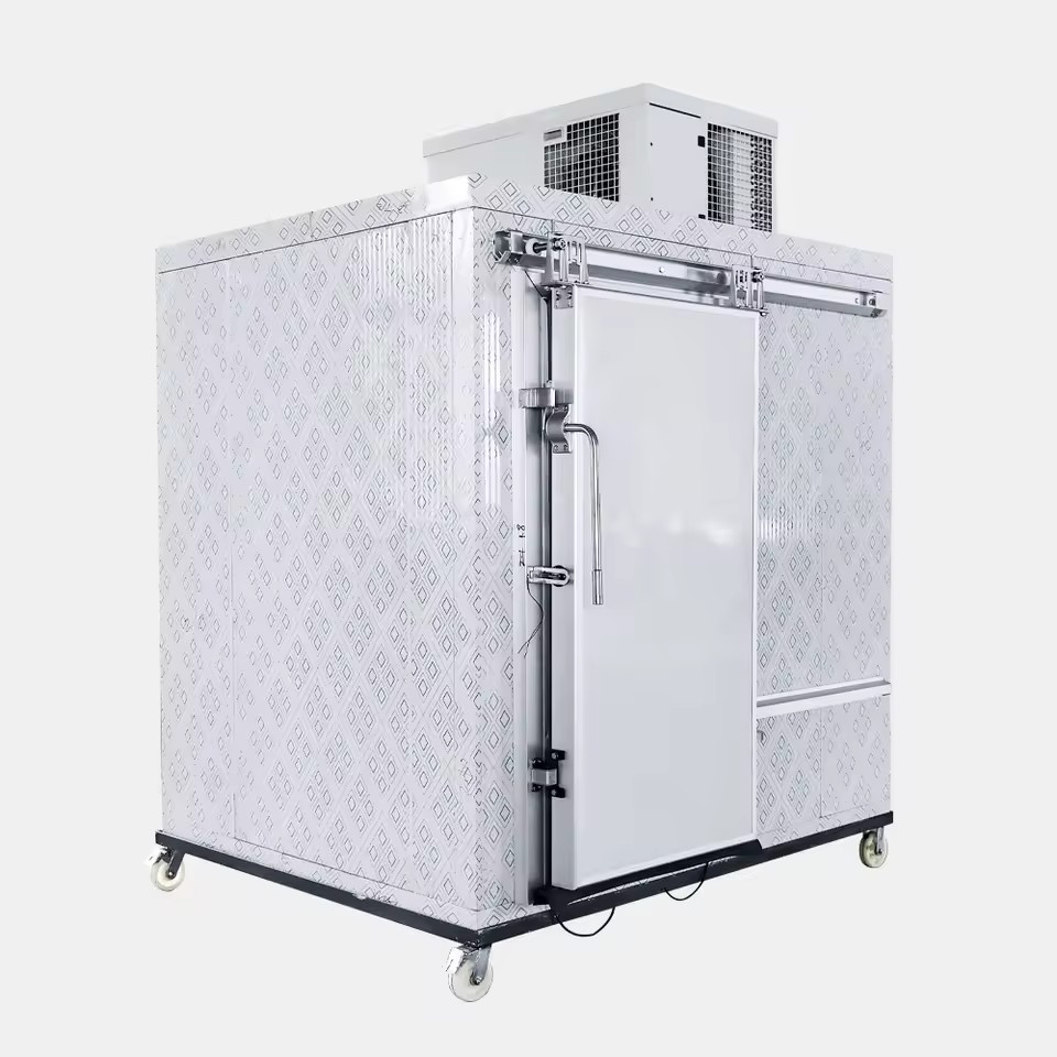 High Efficiency Customized Walk-in Freezer Cold Room Storage 150mm Panel Thickness Featuring Sanyo Copeland Bitzer Retail
