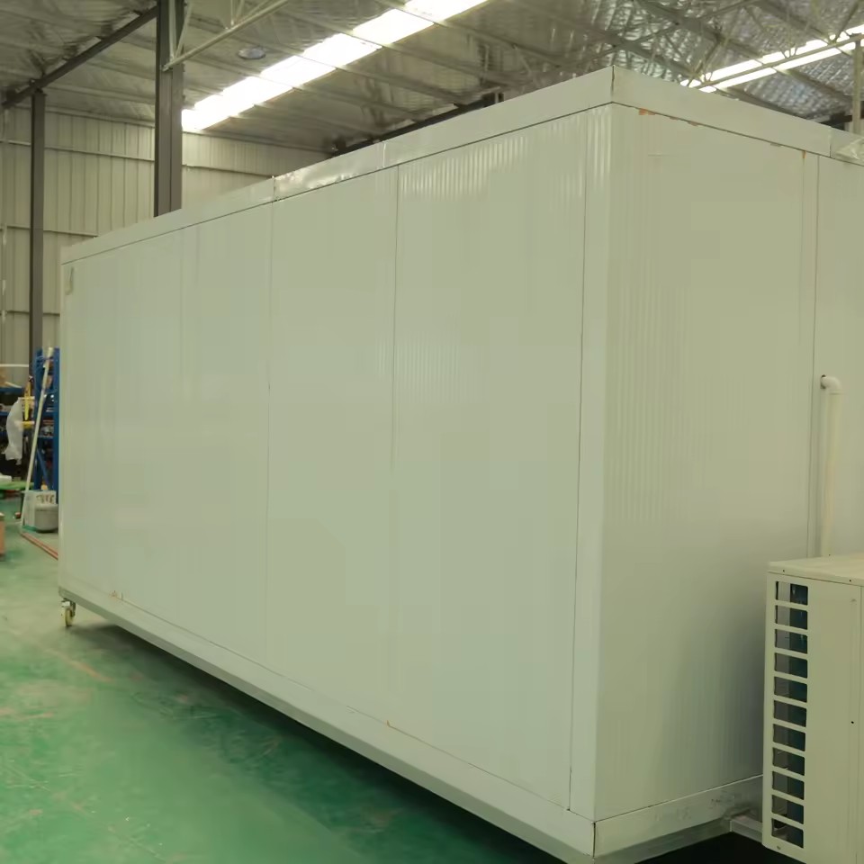 Commercial Fish Storage Cold Room Price for Vegetables Solar Commercial Cold Room Freezer