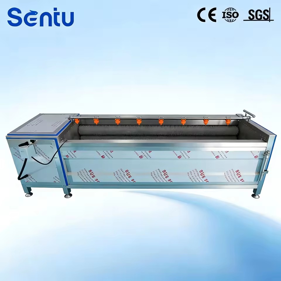 Continuous Brush Roller Washing Machine for Food Heavy Duty Commercial Brush Roller Washer Brush Roller Washer for Vegetables