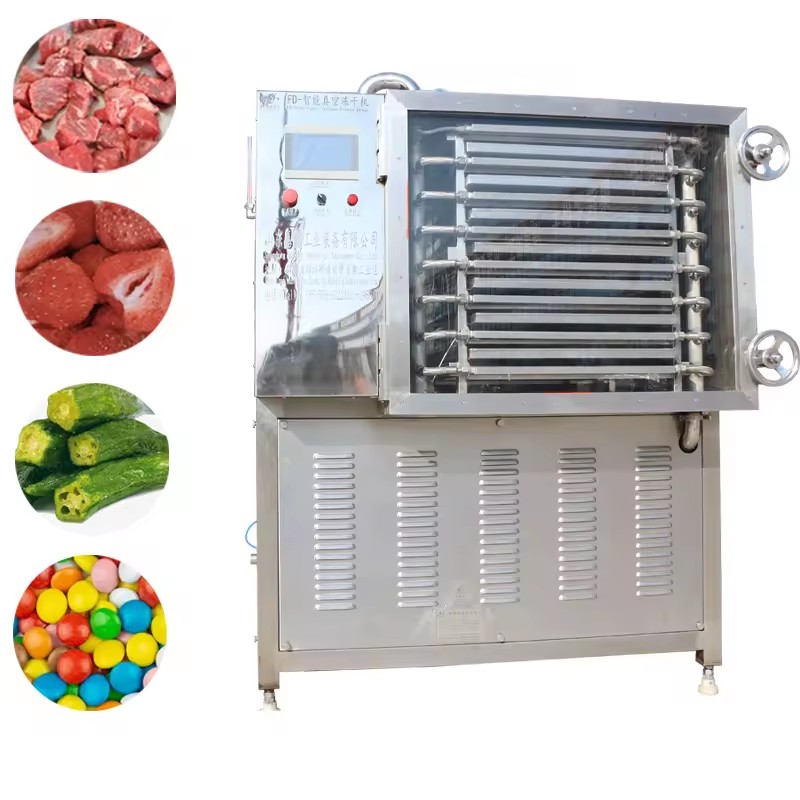 Industrial Small Intelligent Automatic Freeze Dryer | Stainless Steel High Safety Level & Energy Saving for Food Processing