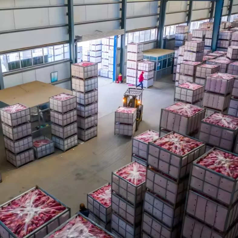 Turnkey Large Automatic Cold Storage Warehouse with Engine | Industrial Refrigeration Room Building Contractor (Solar-Powered)